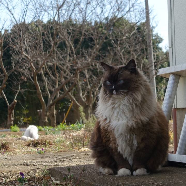 7dd8237e 3822 4627 859d 7b968e48d71f