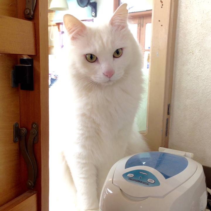 7dd8632b f295 45ae 92f2 99946ee8451a