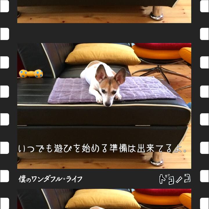 7dd97413 b826 463b 88ba f8becf019e50