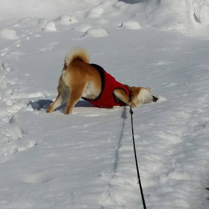 7dda13c1 2909 4bad 8905 4c1198a86982