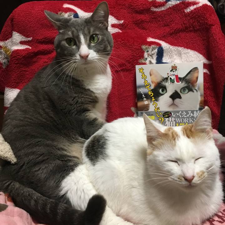 7ddb2d50 5bc7 4c86 9941 9a4fd54169a7