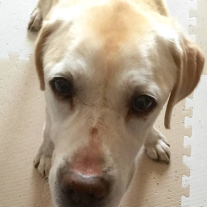 7ddb3957 26a9 45b7 97d7 328aa74dffdc