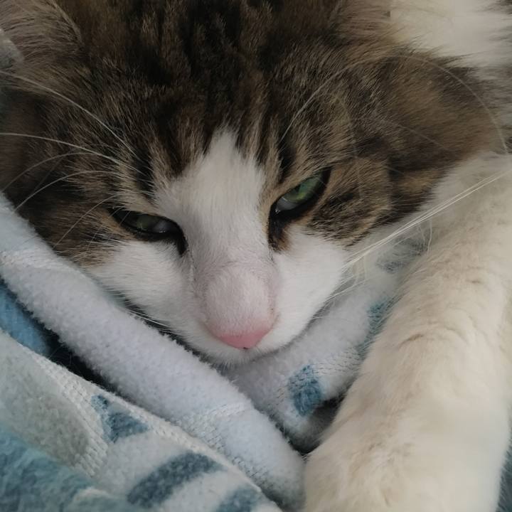 7ddc56d2 897c 468c b587 ccc52716466c