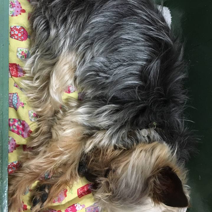 7ddc7185 242e 42a0 a5ea dd518948dd7f