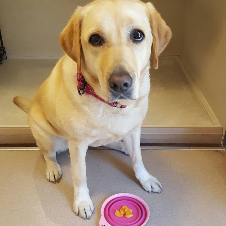 7ddc7a0d 9864 4437 a50d afc92c0e797a