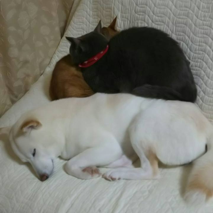 7ddcd2ed ad58 4068 ac90 f71c7cd9f051