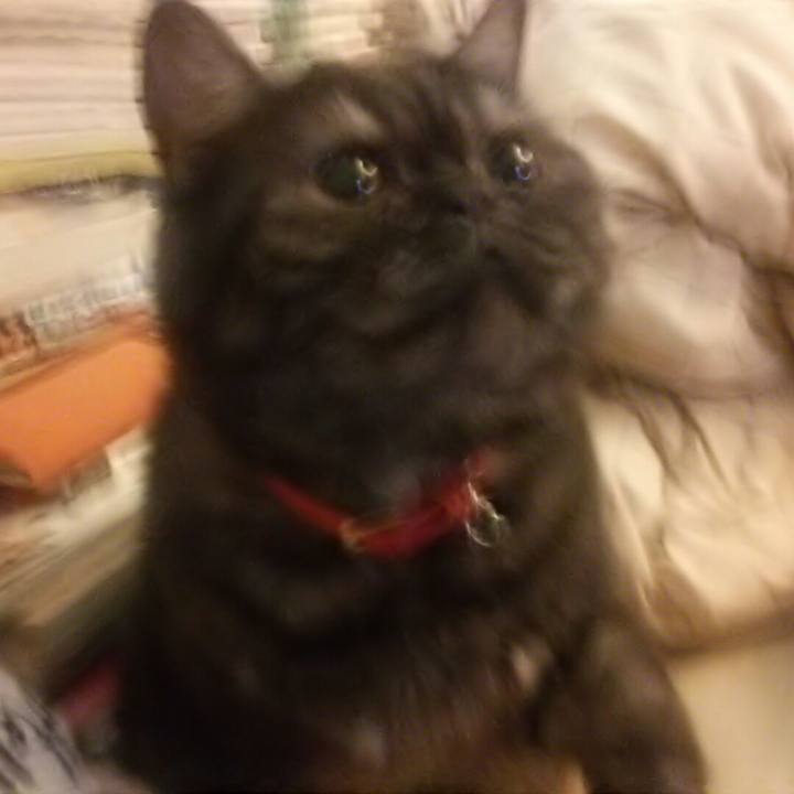 7ddcfb06 960d 4d03 bf6f 4d8108144566