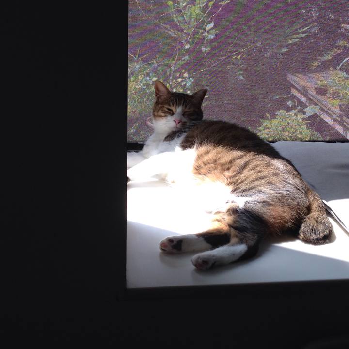 7ddd2ada f338 4fee bb01 3948ceb3b640