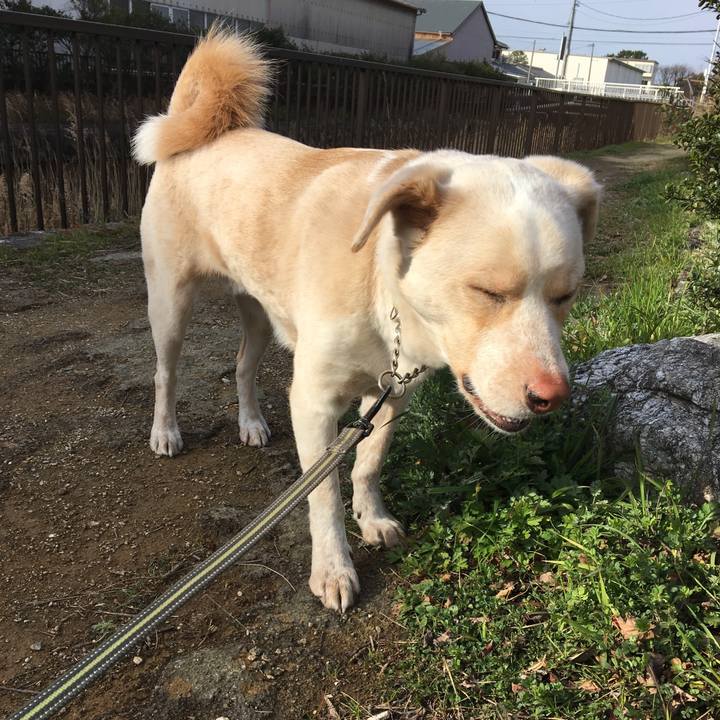 7ddddef4 2873 47b7 bfe0 2529dd824909