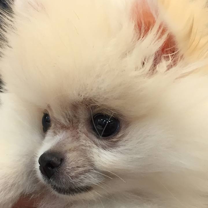 7dddf8cd 6a36 4026 b7b9 8257f42cfd5f