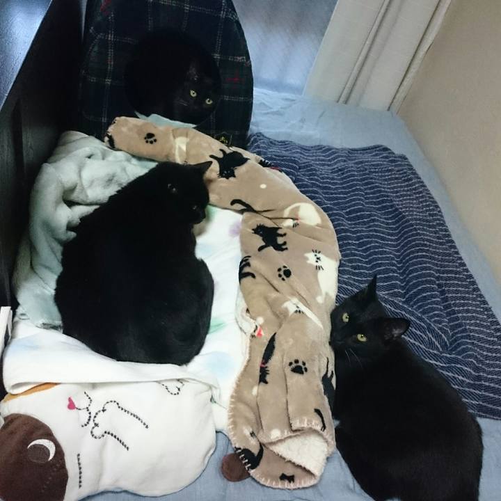 7dde21d0 1e13 41c6 8ddb cc3bd91af897