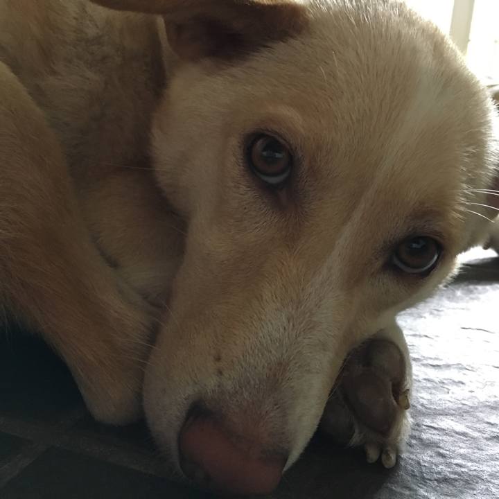 7dde503d e795 4041 b6e2 30cd03684e16