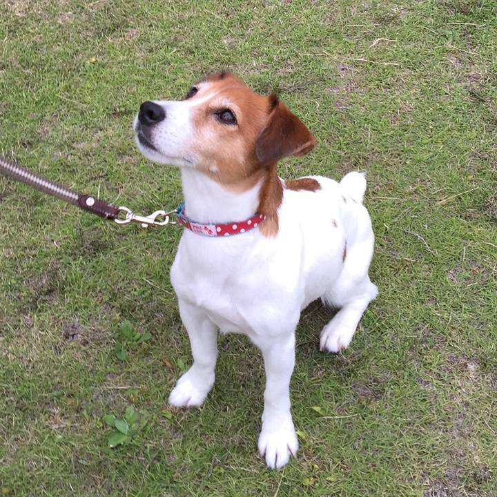 7ddf072a 0062 4a2a a73d f2acaa4433bc