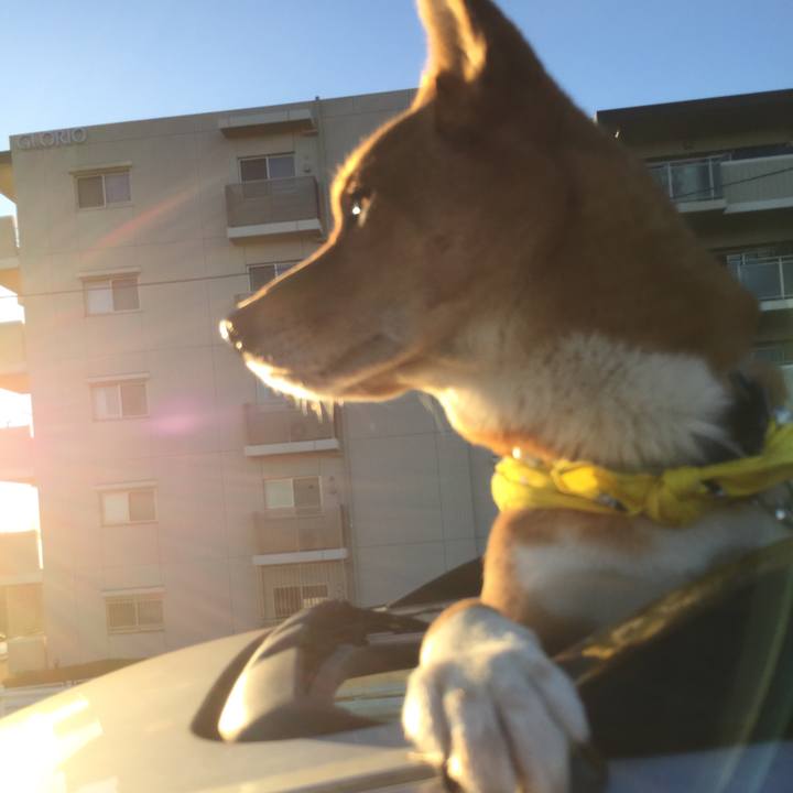 7ddf714f 5192 4b1a 977c 28cc05e12a57