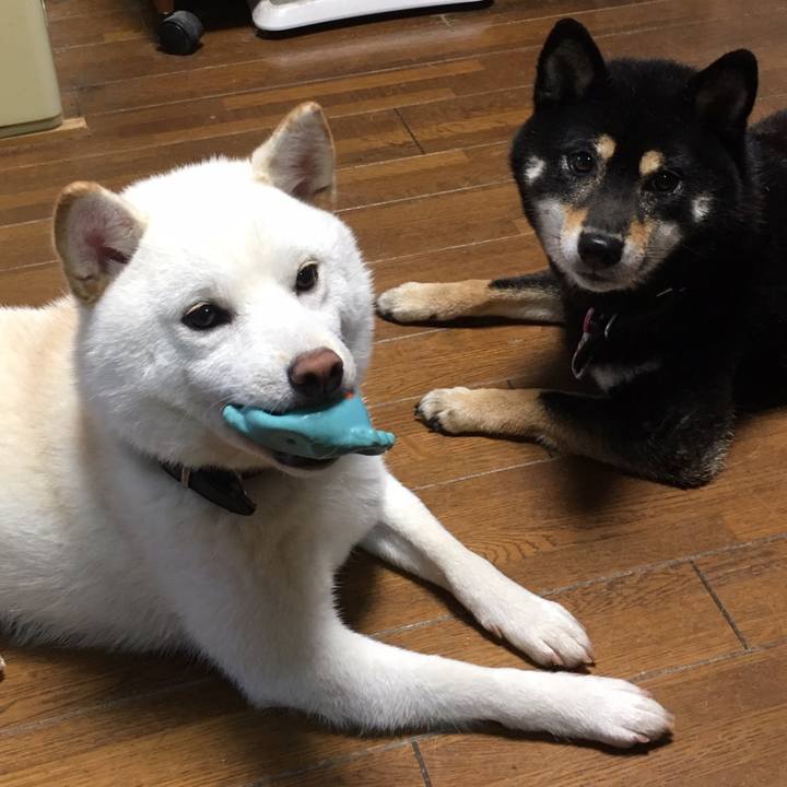 7ddfa1ce 5ba3 499d 9fa8 7771483b5c39