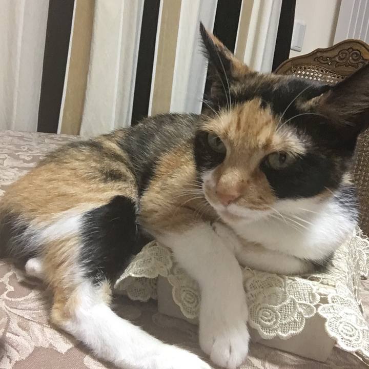 7ddff621 0182 4f8f 9bf0 a2bbd9fd89f5