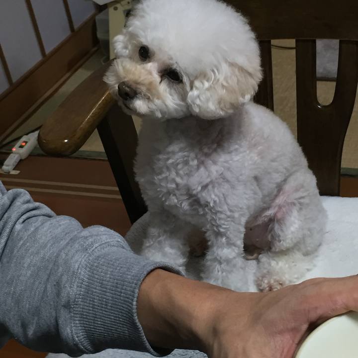 7de16f88 68e0 4b96 8700 4903f936bcd6