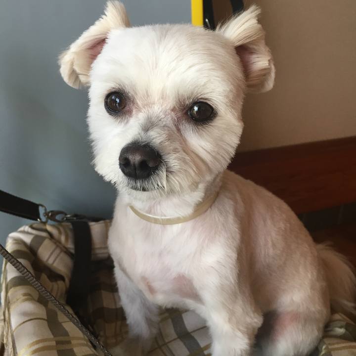 7de1aa57 1b9e 4021 baac 8d7f3ebbde42