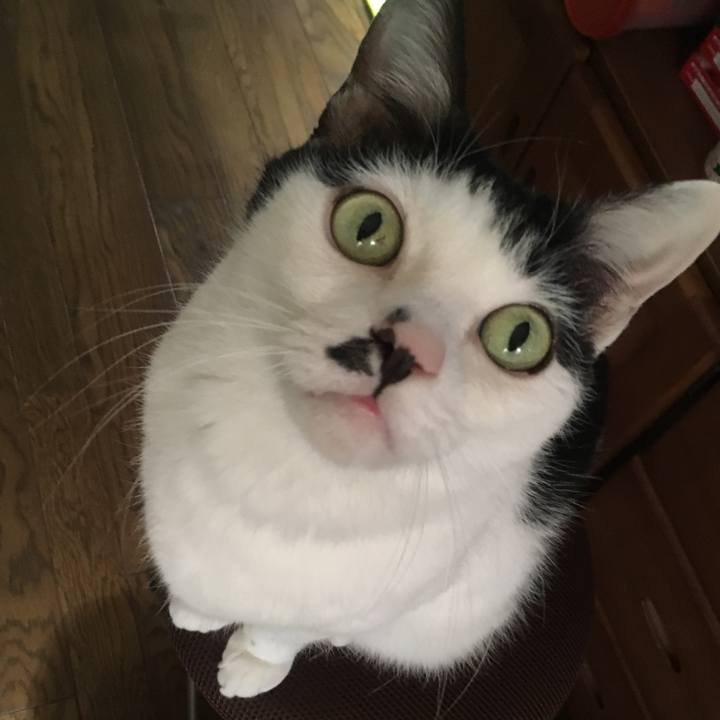 7de1d0ec a258 4535 bdec 6f37be7ec510