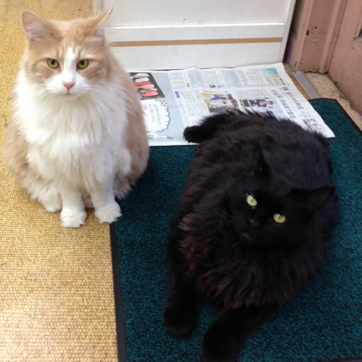 7de20c83 b756 43c3 9e27 62ac8ed25381