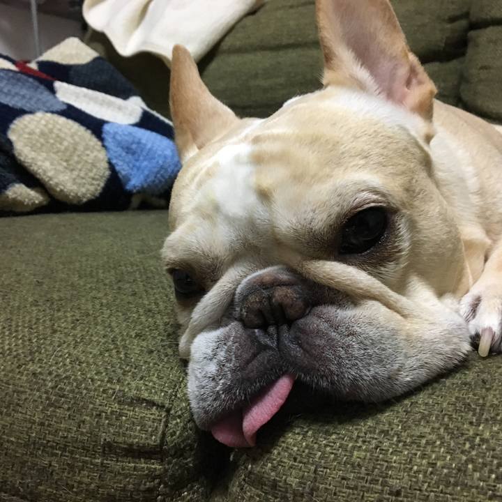 7de22923 7560 4b49 9520 86970d92b5c4