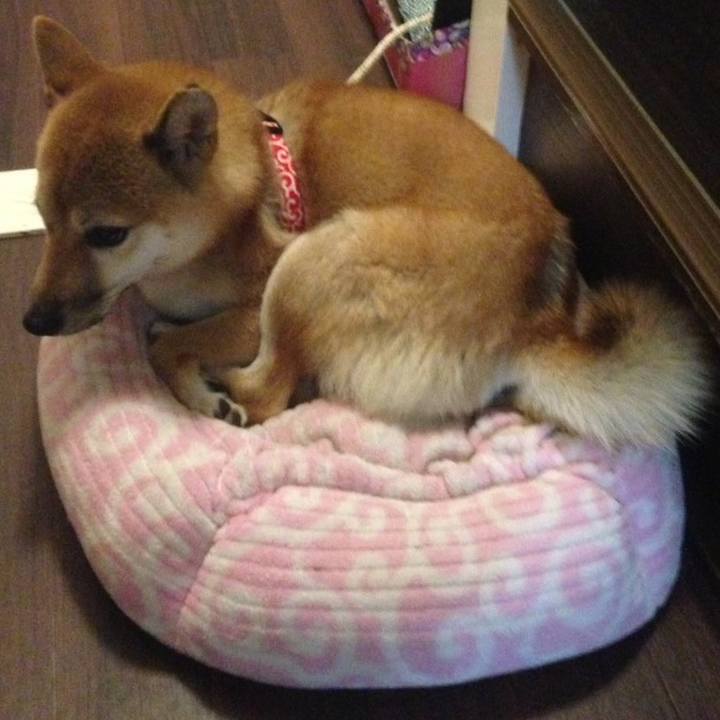 7de2dcb6 29a3 44cc b5d9 7739d9d1b153