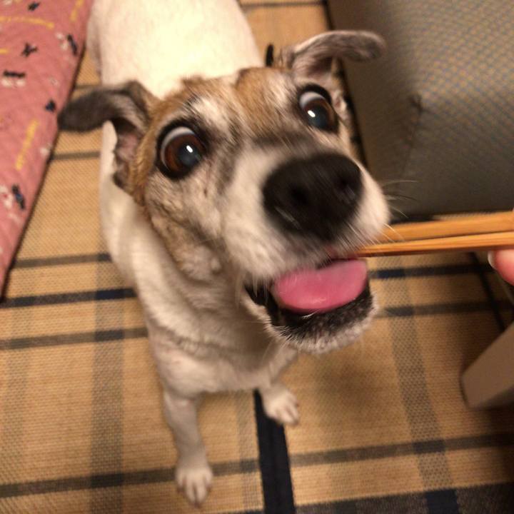 7de3146f dfe8 412d a89d 31c46ca4fe7d