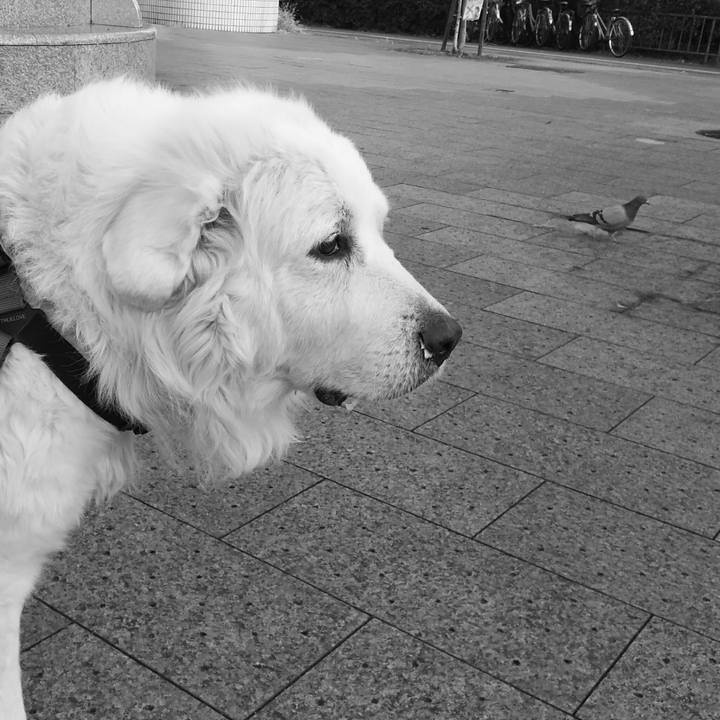 7de34604 acf7 4e1b a5ed 4dd97d306fe4