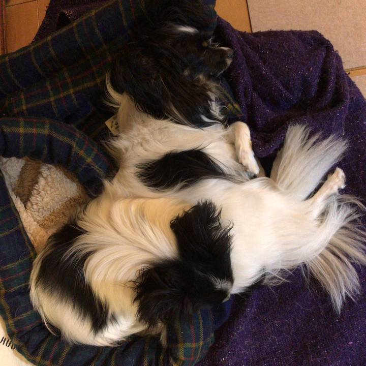 7de38d5e 0646 462b bee5 6d51ca68cc2b