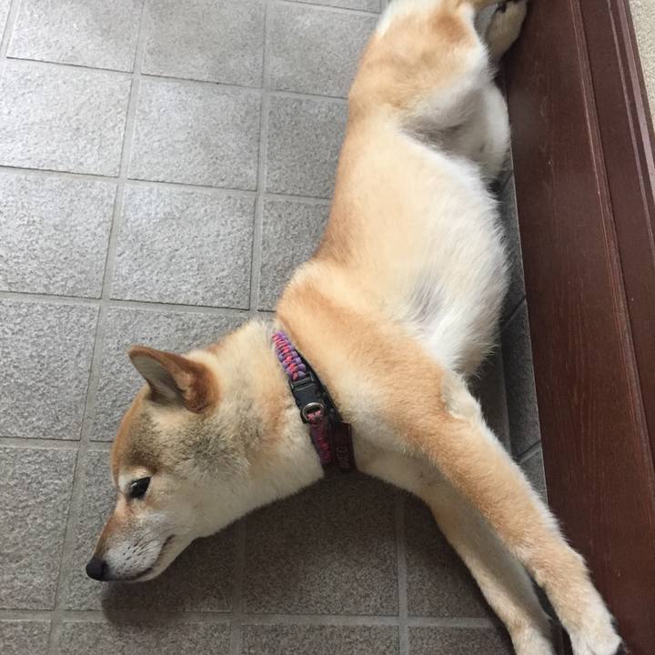 7de410bc 3aef 4e34 8797 bcb889952cc8