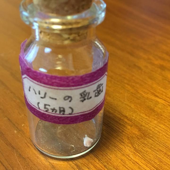 7de4263c 2388 4561 a6b6 974ab126ba23