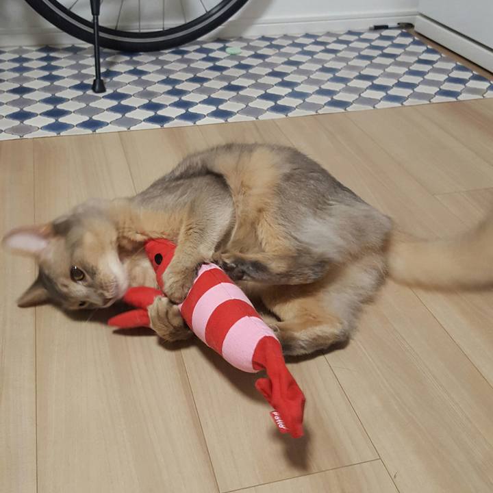 7de43971 70f5 4133 a8ad 6b4bb430b64f