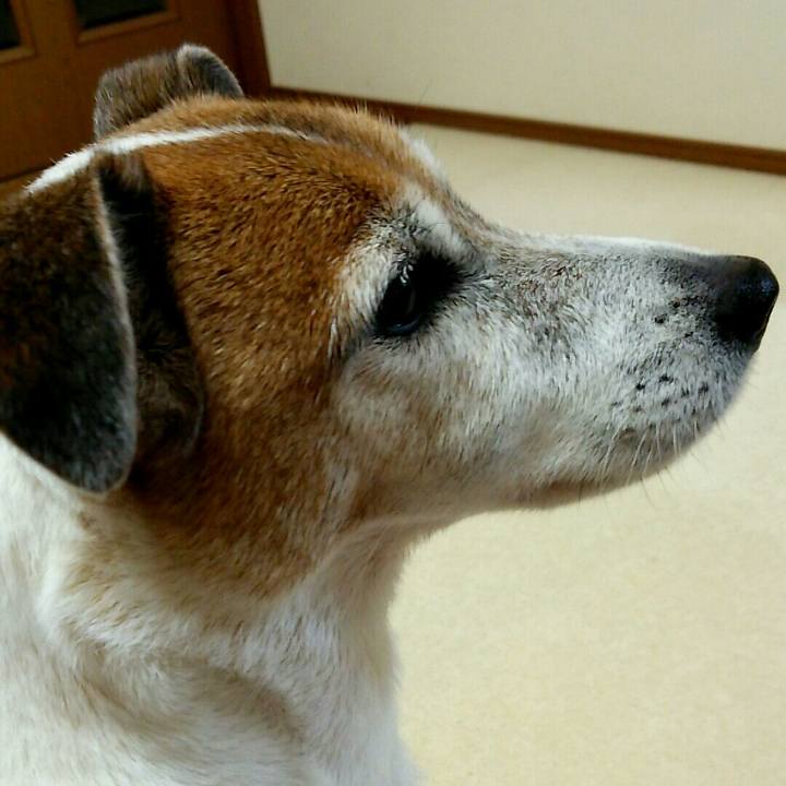 7de45661 4319 42b2 b181 ab5db18e2749