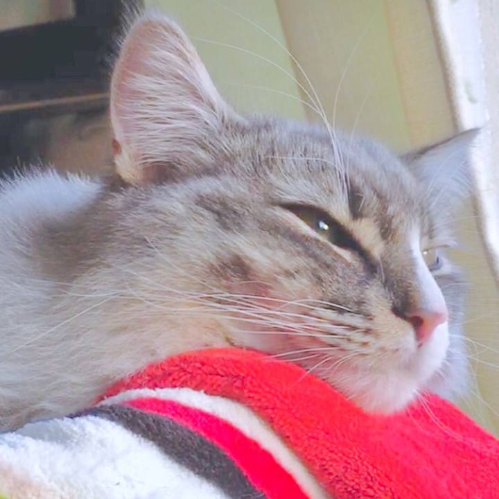 7de45825 1885 49f4 bb52 e4f96d8f986d