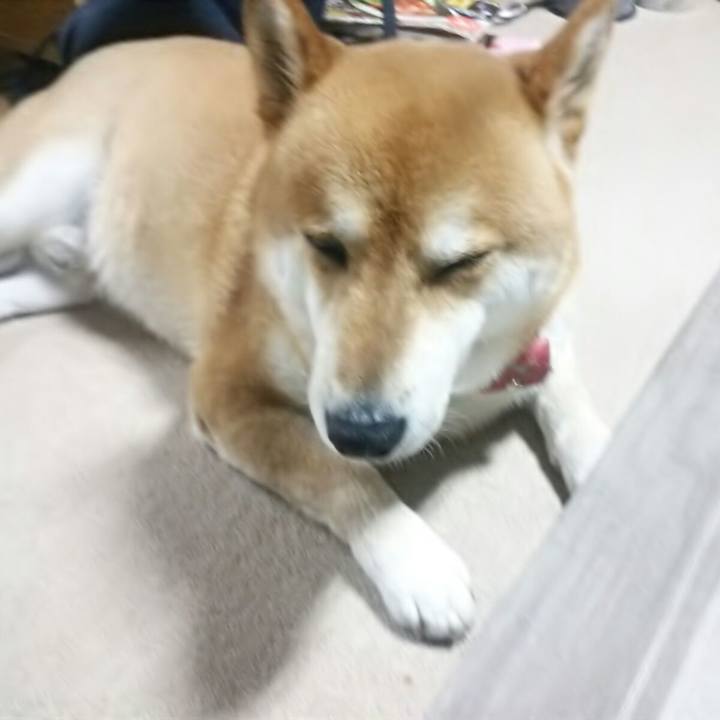 7de51d0c b43a 42d9 a63c 4cab6a62285f