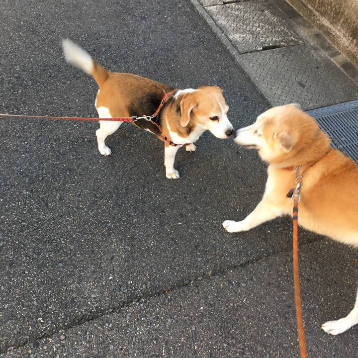 7de5423e 5f7d 441b b038 cc951ba0b5f3