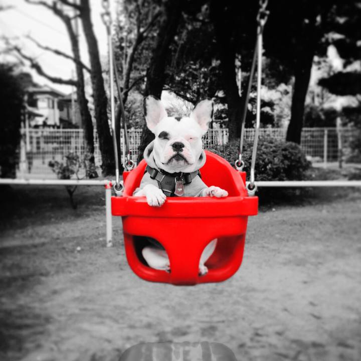 7de59389 6743 48d9 94cc 670daca05487