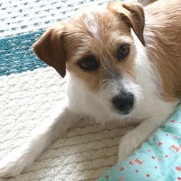 7de63490 656e 463e 8739 89a3db873b2e