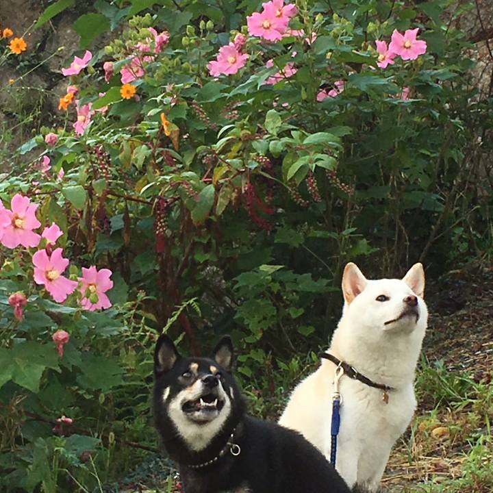 7de67377 b5c6 43d7 af59 3a108833356a