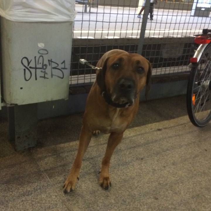 7de6d9ea 6976 4285 a850 07b9fb7716f5