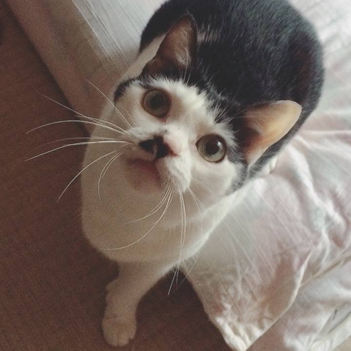 7de7185e f35f 410e ae1a 51c59094db27