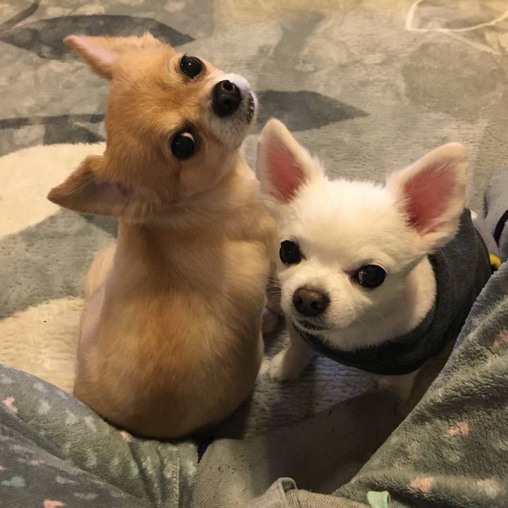 7de75907 c879 4d06 bb9c 958776597c0d