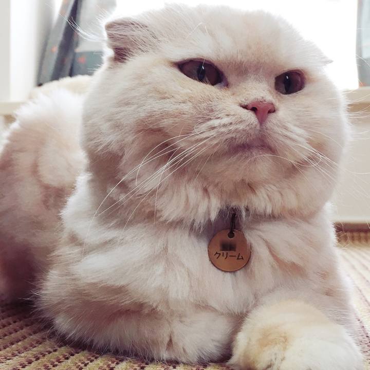 7de84a91 d478 460e a8f0 f3d51102f8d5