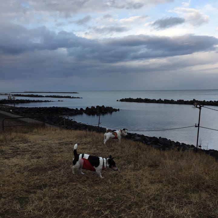 7de8928e 64cb 4bc0 9739 976f0eb82058