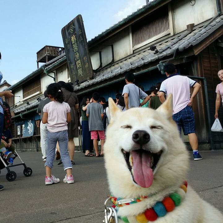 7de8afc4 64c0 4811 9fc0 ef8358b0f871