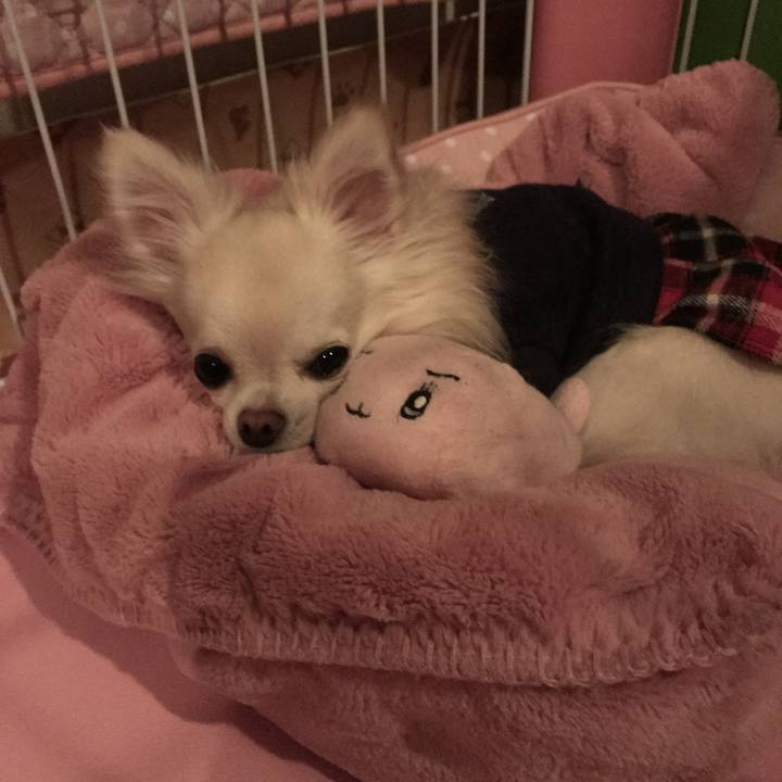 7de9085b d931 462c 811f 84b7d08d4178