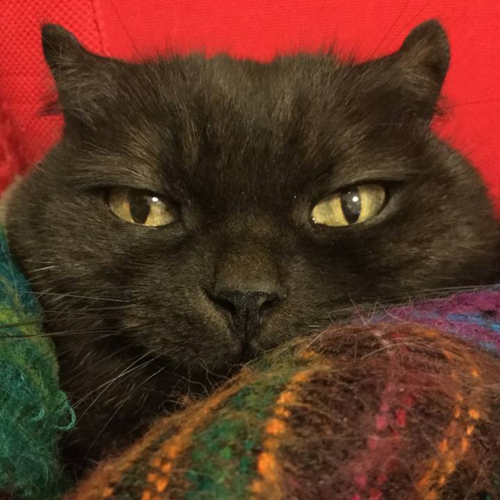 7de9ede3 d76d 447d 952f 9d4f186181a8