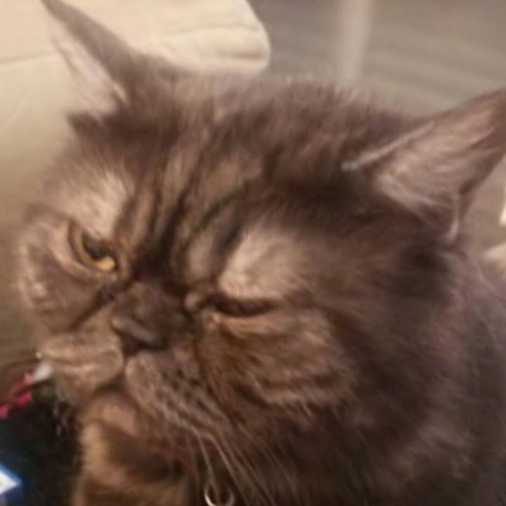 7dea5f64 e1d5 47c5 8301 257bedf4246c