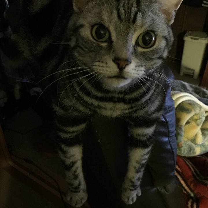 7dea7590 60ad 4cb8 8c68 9a75ed724005