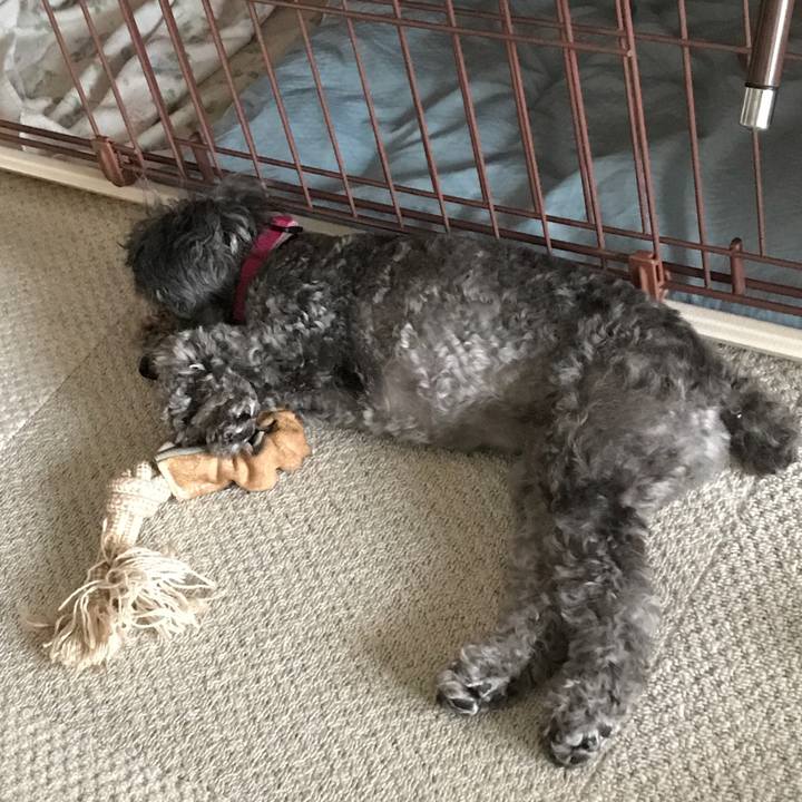 7deaa3ff 1871 4628 bdb4 f80d98dc3101